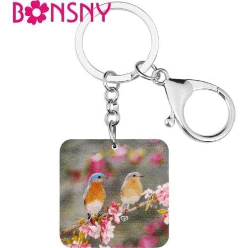 Bonsny Acrylic Cute Robin Bird Keychains Animal Key Ring Jewelry For Women Lover Girls Classic Gift Wallet Accessories Charms