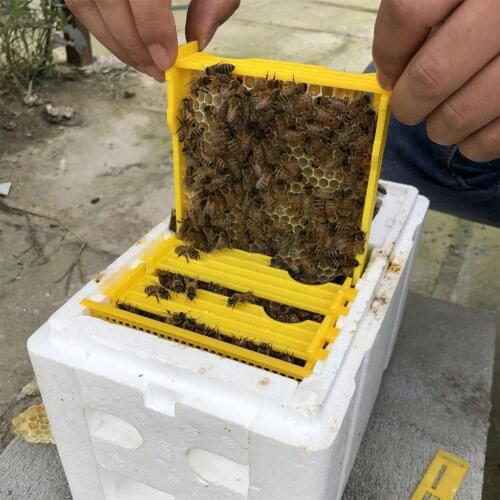 Queen Bee Cage Set Beekeeping Queen Breeding Rearing Box Mini Mating Hive DIY Beekeeping Container For Beekeeper