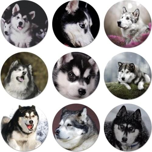 58mm Alaskan Malamute dog Icons Pins Badge Decoration Brooches Metal Badges For Backpack Decoration