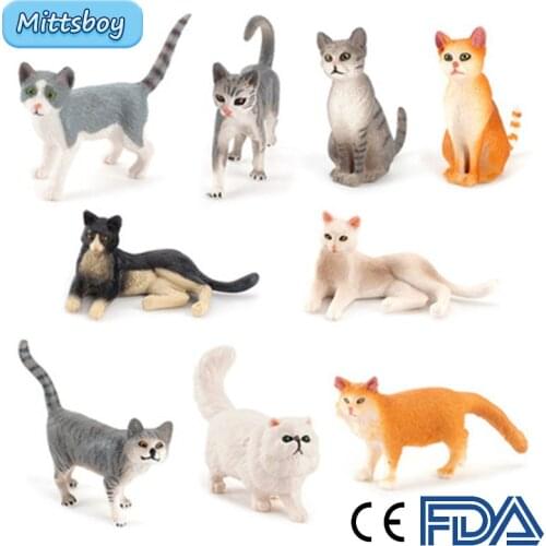 Hot Simulation Wild Poultry Animal Simulation Figure Orange Pet Cat Educational Toy for Childrens Toy Figure Collection Toy Gift