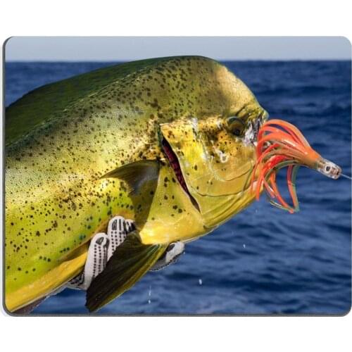 Dorado mahi mahi caught saltwater fishing Mouse Pad Customized Game Mouse mat Rectangle mouse mat 300mm*250mm*3mm