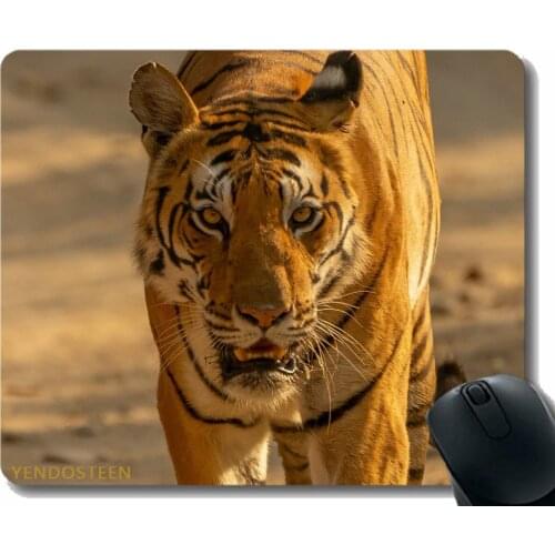 Colors Gaming Mouse Pad Custom Design Mat,Tiger Predator Big Cat 173787 Non-Slip Rubber Base Mousepad