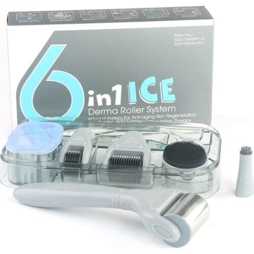 DRS Dermaroller System 6 in 1 Titanium Derma Roller Scar Facial Brush Micro Needle Therapy Skin Care
