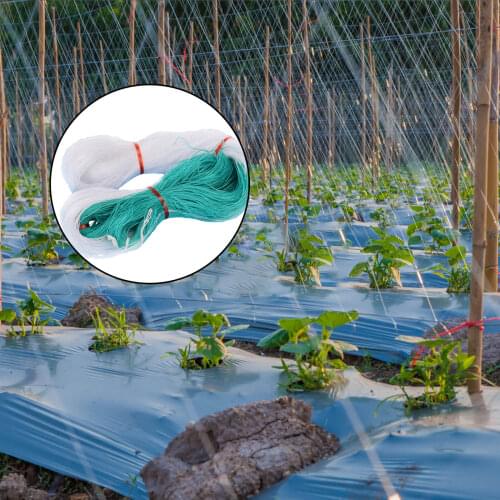 Rattan Climbing Net Heavy-Duty Plant Support Mesh 2*100m Recyclable Vegetables Reusable Fruits Garden Elastic Trellis