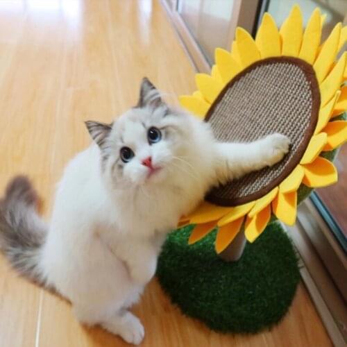 Cat Scratch Pad Sisal Rope Cat Tree Sunflower Design Furniture Saviour Sisal Scratching Board Kitten Grind Claw Toys Accessories