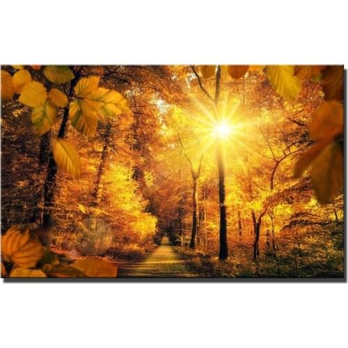 Realist Sunrise HD Print Cuadros Pictures Modern Landscape Trees And Sun View Posters And Prints For Living Room Wall Art Decor
