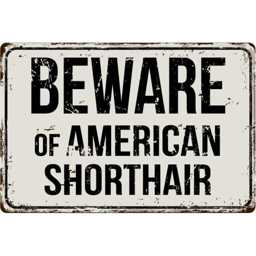 Deerts 112VS Beware of American Shorthair 8 x 12 Vintage Aluminum Retro Metal Sign