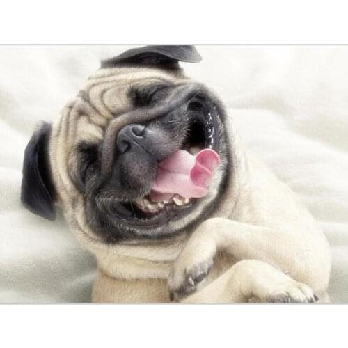 Diamond Mosaic Diy Diamond Embroidery Sleep The Tongue Of Sandy Dog Diamond Painting Cross Stitch Floral Rhinestone Decoration