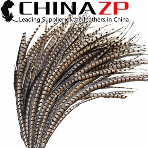 CHINAZP Feather Order Money About Large Size 80-90cm(32-36inch) Good Quality Natural Lady Amherst Pheasant Tail Feathers