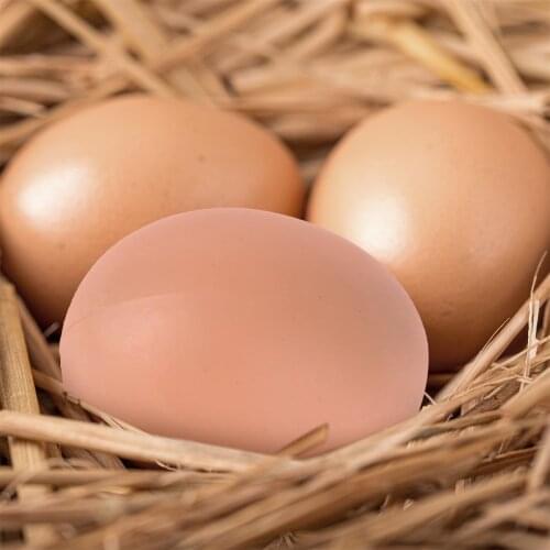 Hatching Egg Hen Poultry Hatch Breeding Simulation Fake Plastic Artificial Eggs DIY Painting Easter Egg Party Decor Novelty Toy