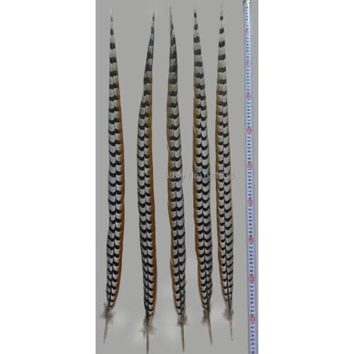 20pcs/lot 90-100CM long natural rare reeves pheasant tail feathers high quality wedding decorations pheasant feather plume