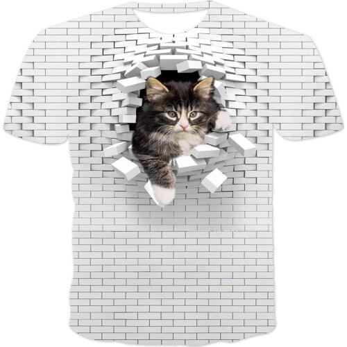 Summer Unisex Couple Short-Sleeved Loose T-Shirt 3D Printing Round Neck Pullover Casual Streetwear Fashion XXS-6XL Wholesale