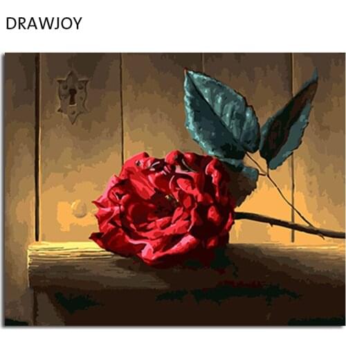 DRAWJOY Framed DIY Painting By Numbers Flower Coloring By Numbers On Canvas Oil Painting Home Decor For Living Room Wall Art
