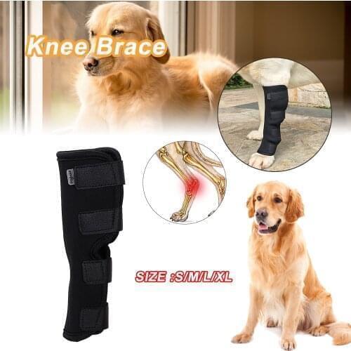 1pcs Pet Knee Pads Dog Support Brace for Hind Leg Hock Joint Wrap Breathable Injury Recover Legs Dog Protector Support S M L XL1