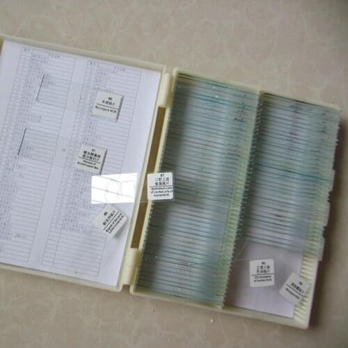 2020 New 91pcs Professional Student Lab Educational Bio-Microscope Slides Glass Biological Microscope Prepared Specimen