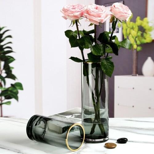 Glass Vase For Flower Living Room Decoration Flower Terrarium Golden Glass Large Vases Nordic Decoration Home Decor Thicken Vase