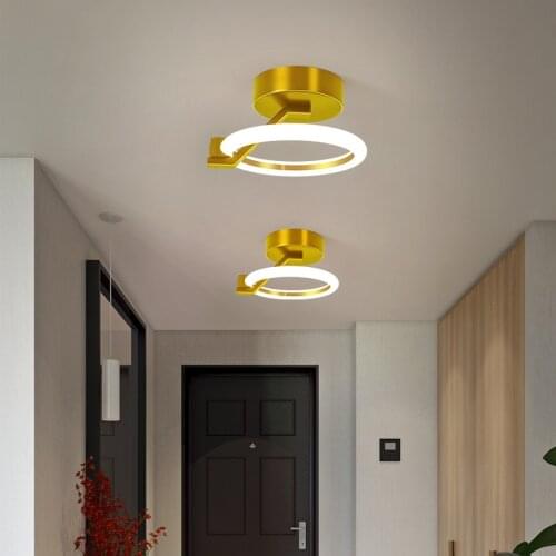 Mycatfish Ceiling Lighting