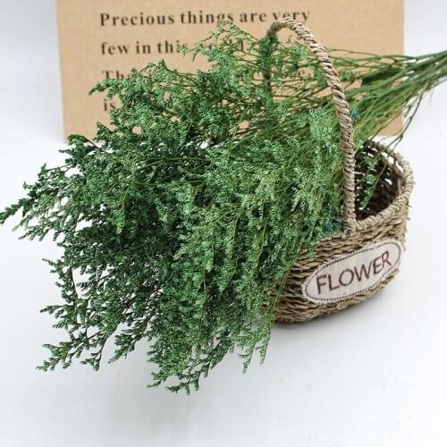 100g Real Natural Fresh Dried Preserved Forever Lover Grass Branch For Wedding Party Flower Material Home Decor Limonium Statice