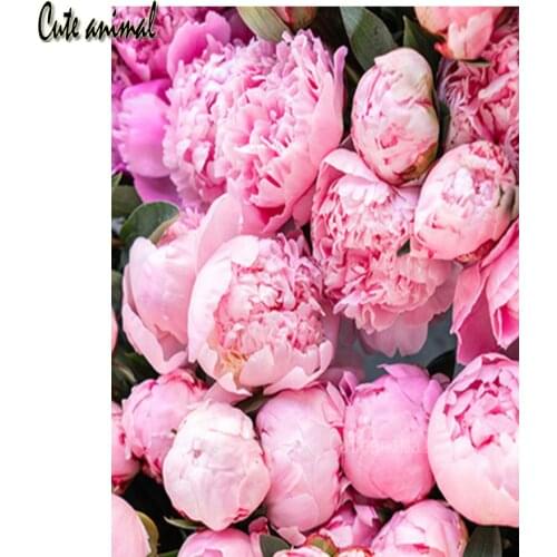 Pink peony flowers Diamond Embroidery Cross Stitch kit 5d Diamond Painting Diamond Mosaic Full drill Round Square Decorations