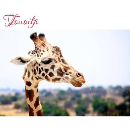 DIY diamond Embroidery giraffe 5D diamond painting of Cross stitch kit for living room Needlework set embroidery with diamond