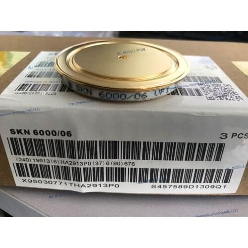 SKN6000/06 SKN6000/02 SKN6000/04 SKN6000/08 FREE SHIPPING NEW AND ORIGINAL THRYSISTOR SKN 6000/06 6000/02 6000/04 6000/08
