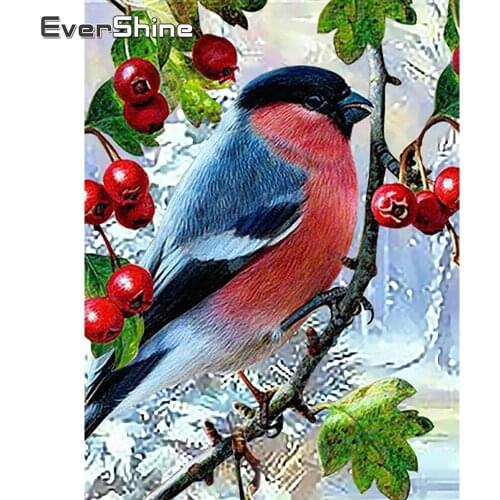 EverShine Diamond Embroidery Animal Diamond Mosaic Full Square Winter Bird Picture Rhinestones Painting Cross Stitch Wall Decor