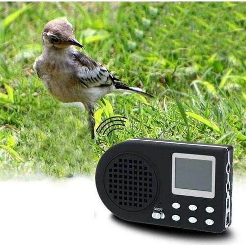 Outdoor Hunting Decoy Bird Caller Bird Sound Loudspeaker Amplifier No Control BNF