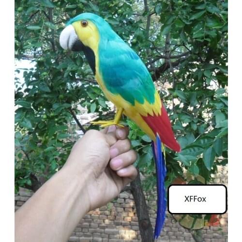 Big real life parrot model foam&feather simulation green&yellow parrot bird gift about 40cm xf0163