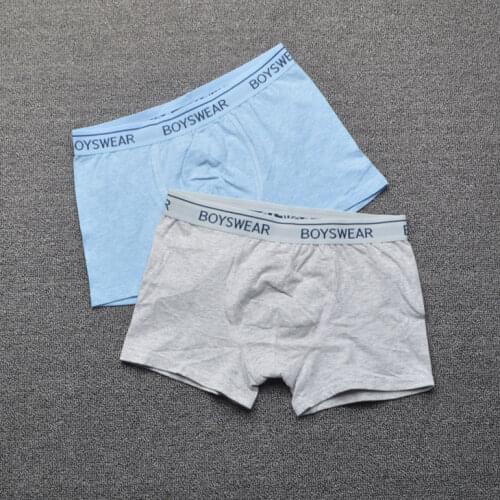 9 Pieces Europe Brand Dinosaur Skull Digital Boys Trunk Boxers Kids Shorts Child Panties Cotton Pants Underwear Briefs 2-6Y