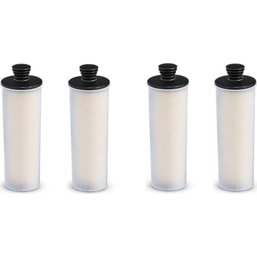 Steam Cleaner Water Purifier Descaling Cartridge for Karcher SC3 Vacuum Cleaner Filter Clean Water Descaling Filters
