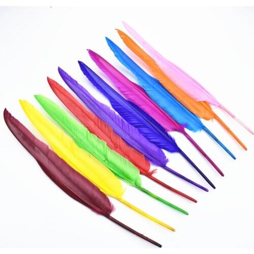 20Pcs Turkey Feathers Duck Pointer Wing Feathers for Crafts 25-30cm10-12" Plume Decoration Feathers for Clothes Feather Decor
