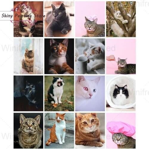 Cute Cat 5D DIY Diamond Painting Full Square Round Diamond Cross Stitch Kit Animal Pet Mosaic Diamond Embroidery Inlaid Drill