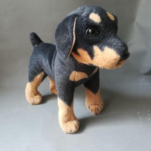 Small cute plush real life Rottweiler toy simulation black dog doll gift about 27x25cm xf2993