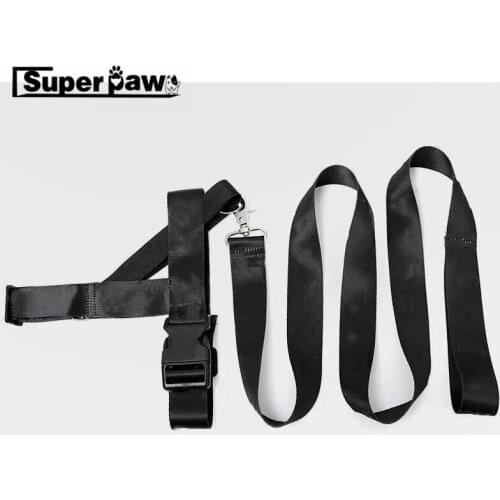 Fashion Nylon Dog Collar Leash Set for Medium Large Dogs Puppy French Bulldog Pug Pitbull Leading Accessories BSL06