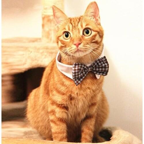 Pet Dogs Cat Adjustable bow Tie Collar Necktie Decor Fake neckline towel Holiday Wedding Life Decoration Accessories