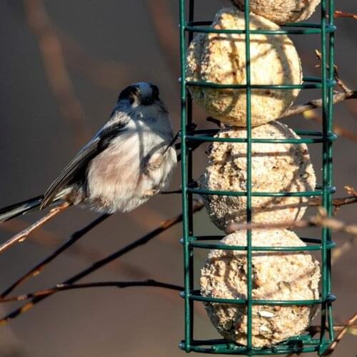 Bird Feeder Outdoor Feeding Portable Wild Birds Plastic Supplies Products Park Garden Tree Container