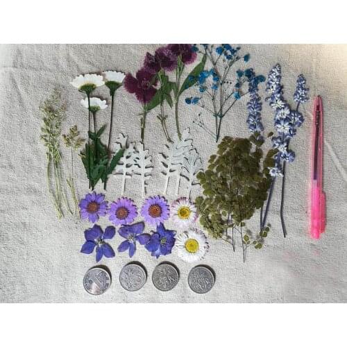 32pcs Mixed Dried Pressed Flower+ Leaves Plants Herbarium For Jewelry Postcard Photo Frame Phone Case Making DIY