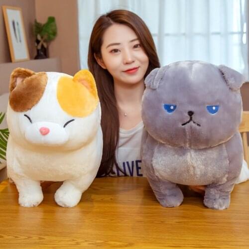 35/45cm Cute Fat Cats Plush Toys Stuffed Kawaii Animal Doll Soft Cartoon Pillow Birthday Gift for Kids Baby Room Decor