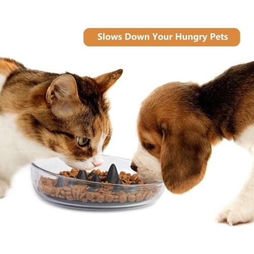 2 In 1 Eat Slow Dog Food Bowl Durable Nontoxic Soft Silicone Non-slip Pet Slow Feeder For Small Medium Dog and Cat Feeding