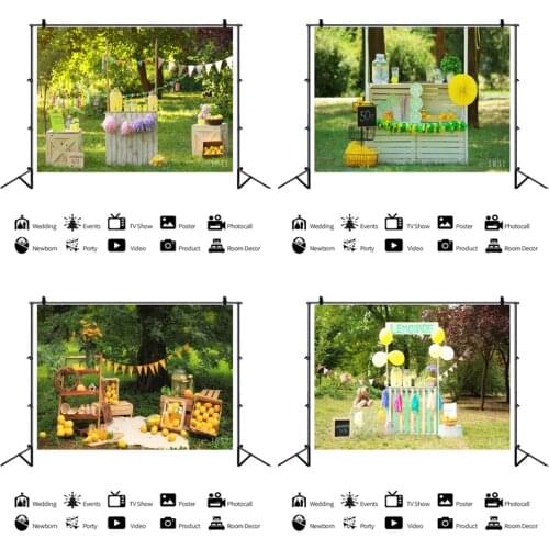 Baby Show lemon Themed Invitation Party Cloud Children Birthday Banner Photography Backdrops Backgrounds For Photo Studio Props