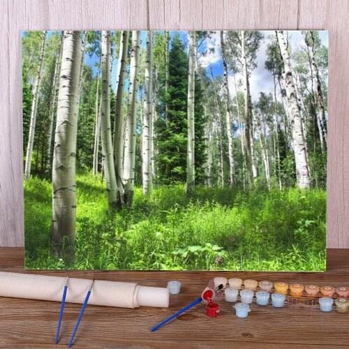 Landscape Tree DIY Painting By Numbers Kit Oil Paints 50*70 Picture By Numbers Photo Handmade For Kids Wholesale Handicraft