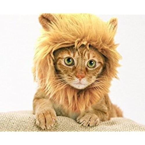 Cat Lion Mane Wig Cat Toy