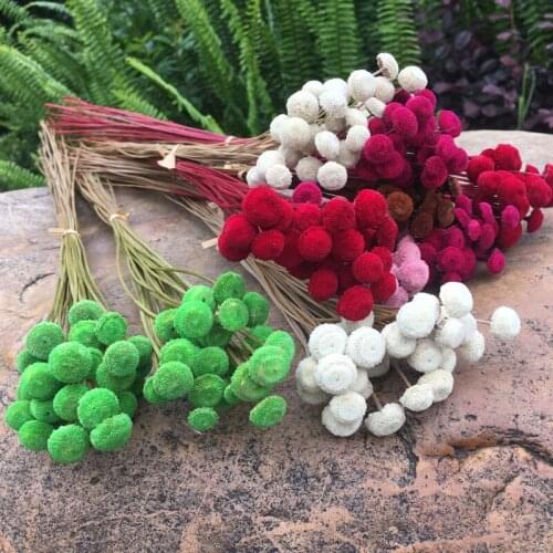 100pcs/30cm,Natural display Dried Botton Flower,Mini Dried Eternal Flower the Beauty and Beast Rose fo rWedding Home Decoration