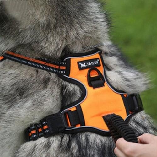 New Pet Products Medium And Large Dogs Explosion-Proof Dog Harness Traction Rope Reflective At Night Walking Chest Back