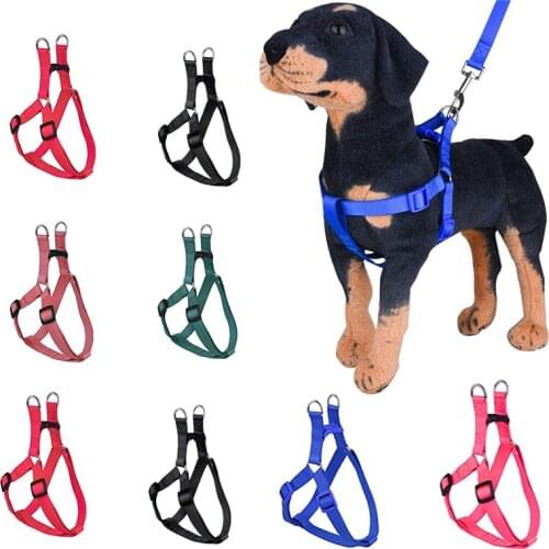 8 Colors Small Dog Cat Harness Leash Adjustable Vest Collar Puppy Outdoor Walking Chihuahua Terier Schnauzer