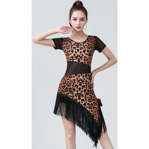 New Latin Dance Costume Female Adult Leopard Tassel Dance Performance Sexy Mesh Splicing Dress Modern Dance Women Short Sleeve