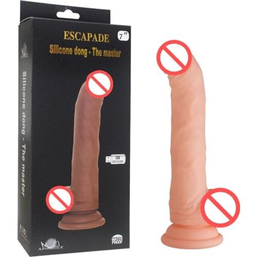 Howells Silicone Dong Rechargeable Big Dildo with 10 vibrating Functions Strong Suction Cup Penis Sex Toys For Women Sex shop