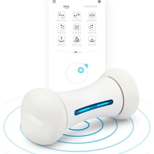 Dog Toy Pet Toys Smart Dog Bone Toy Pet Chew Bone Products Dog