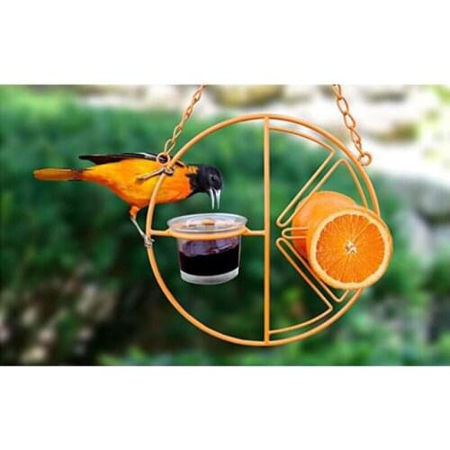 Best Hummingbird Feeder with Cup Bird Feeder Outdoor Balcony Garden Hanging Oriole Bird Feeders Drinking Water Feeding Supplies