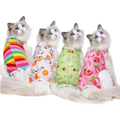 Pet Cat Clothes For Cats Sphynx Soft Fleece Coat Jackets for Outing Cute Cartoon Cat Costumes Autumn Winter Warm Pets Clothing